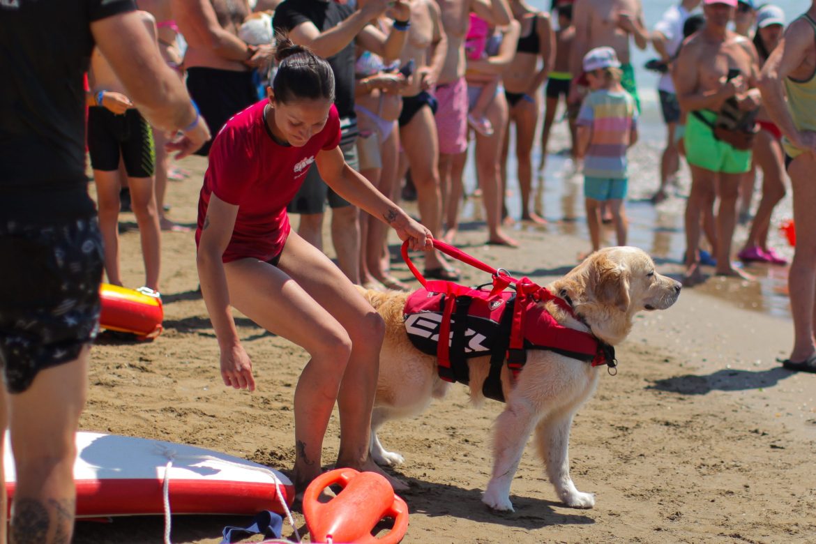 bauwatch villaggio san francesco 1