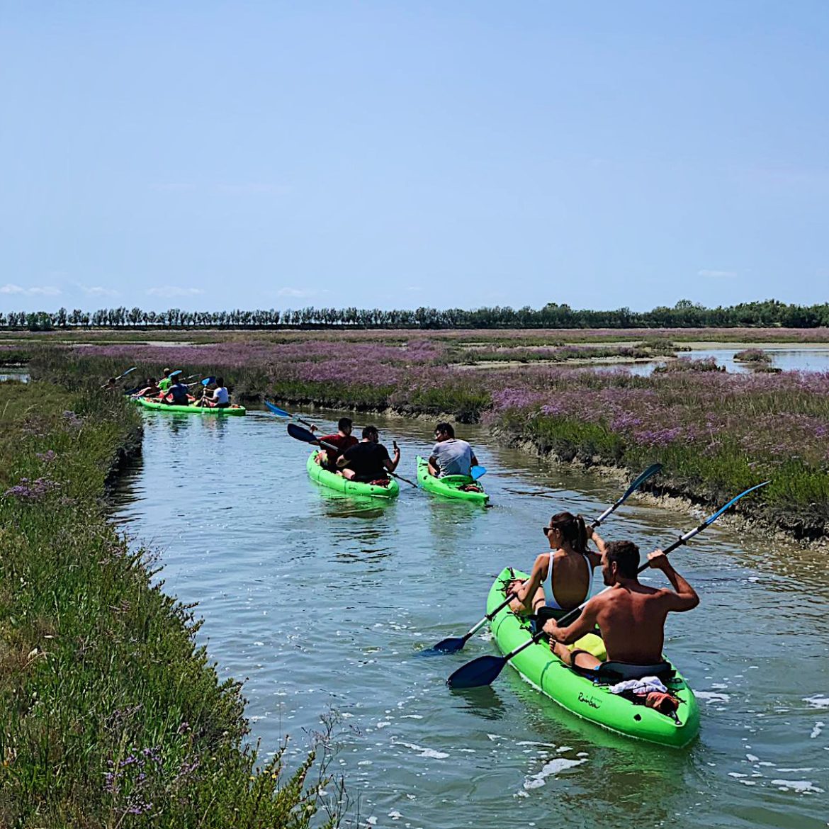 cavallino treporti ph ig1