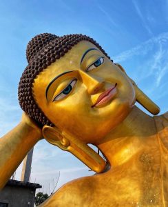 nicolò guarrera pieroad 8.59